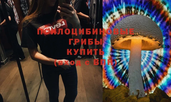твердый Арсеньев