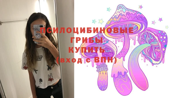 твердый Арсеньев