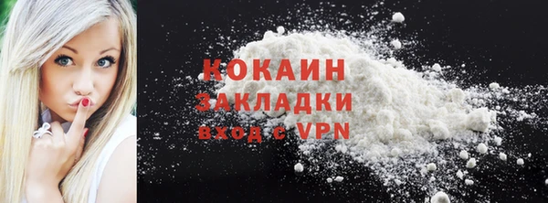 твердый Арсеньев
