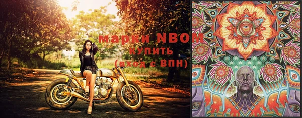 PSILOCYBIN Ростов