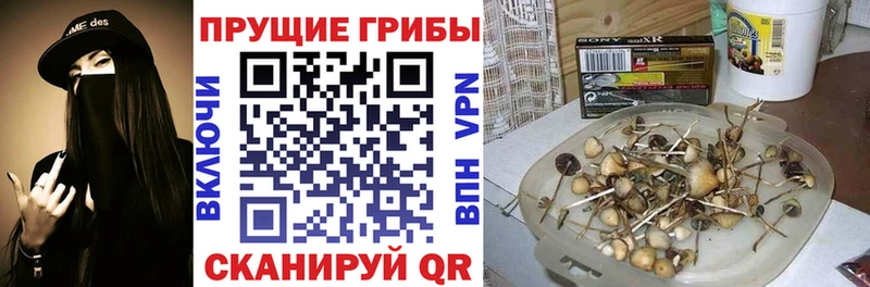 Псилоцибиновые грибы Cubensis  Искитим 