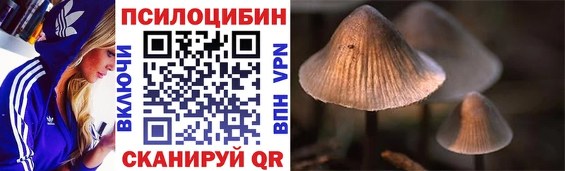 Галлюциногенные грибы мицелий Искитим